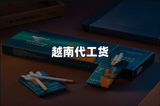 越南代工货